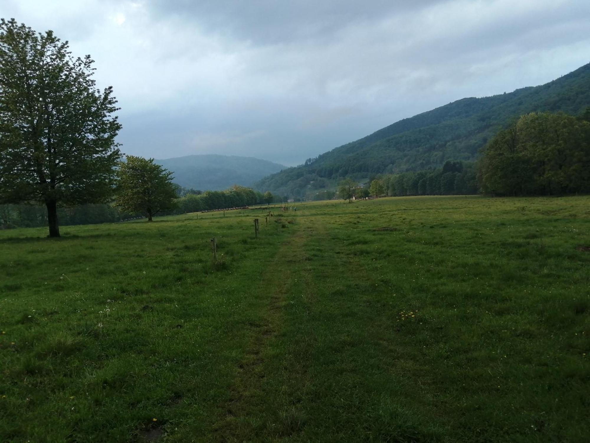 Domek W Gorach Sowich Pieszyce Exterior foto